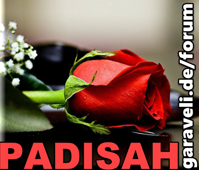 PADISAH